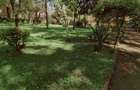 0.78 ac Commercial Land at Mugumo Road - 1