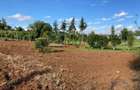 6,000 m² Land in Limuru - 15