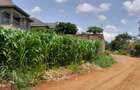 0.25 ac Residential Land at River Side Drive - 2