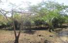 Land at Off Diani Beach Rd - 11