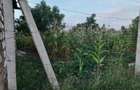 Land in Diani - 19