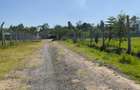 Residential Land at Marula Road - 13