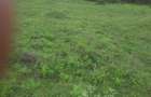 0.113 ac Land in Ngong - 1