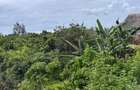 8,093.72 m² Land at Diani 3Rd Row Beach - 9