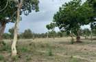 3 ac Residential Land in Kikambala - 7