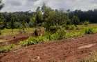 Land at Kibirichia - 2