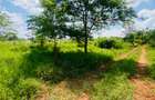 19 ac Land at Kenol-Makutano Highway - 12