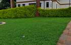 3 Bed House with En Suite in Karen - 1