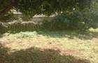 Land in Rosslyn - 7