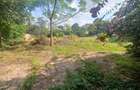 1.347 ac Land in Riara Road - 10