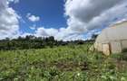 0.5 ac Residential Land in Karen - 13