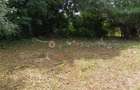 400 ac Land at Kilimani - 10