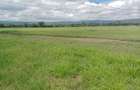 0.125 ac Land at Salgaa - 9