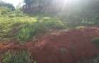 0.25 ac Land in Ongata Rongai - 10