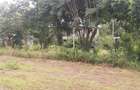 500 m² Residential Land in Ngong - 4