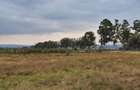 700 ac Land at Bisil - 1