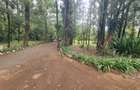 Land at Ndege Road - 6