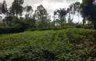 1.25 ac Land in Ngong - 1