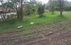 0.25 m² Land in Ongata Rongai - 6