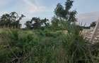 Land in Diani - 14