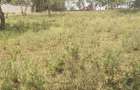 0.25 ac Land in Ngong - 1