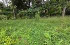 Commercial Land in Lavington - 4