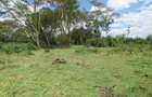 25 ac Land at Moi S Lake Rd - 14