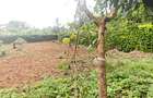 0.5 ac Land in Thome - 2