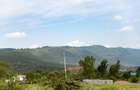 Residential Land at Kikuyu Nachu-Mikuyuini - 1