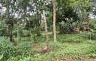 0.5 ac Land at Nandi Road - 5