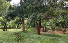5 Bed House with En Suite in Loresho - 10