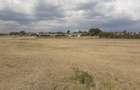 0.125 ac Land in Nanyuki - 12