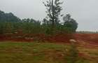 100 ac Land at Ruturu Rd - 1