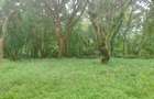 Residential Land at Lower Kabete - 1