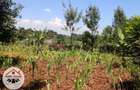 700 m² Residential Land at Kamuita Area - 10