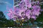 2 Bed Apartment with En Suite in Westlands Area - 15
