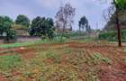 Residential Land at Off Pan African Insurance Avenue - 8