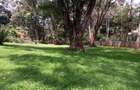 4 Bed House with En Suite in Muthaiga - 6