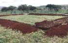 Residential Land in Ngong - 1