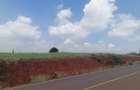 5 ac Land at Near Tatu City - 5