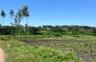 Land at Kandisi - 4