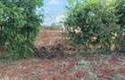 Residential Land at Kiukenda - 5