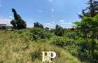Land in Ruaka - 1
