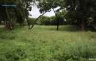 Land in Nyali Area - 2