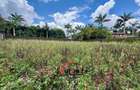 0.5 ac Residential Land in Runda - 1