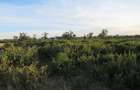 15 ac Land at Off Nairobi-Nakuru Rd - 13