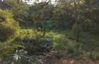 0.75 ac Land in Upper Hill - 9