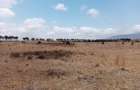 6 ac Land in Naivasha - 6