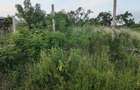 Land in Diani - 17