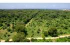 Residential Land in Vipingo - 14